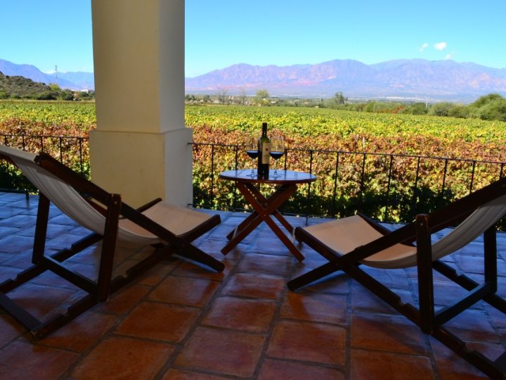 Alquiler Turístico Viñas de Cafayate. Wine Resort de Cafayate, Salta