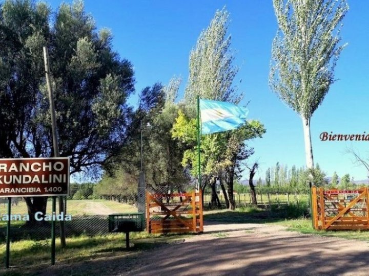Alquiler Turístico Rancho Kundalini de San Rafael, Mendoza